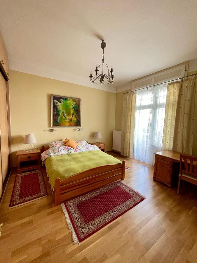 Apartament Spacious In The Heart Of